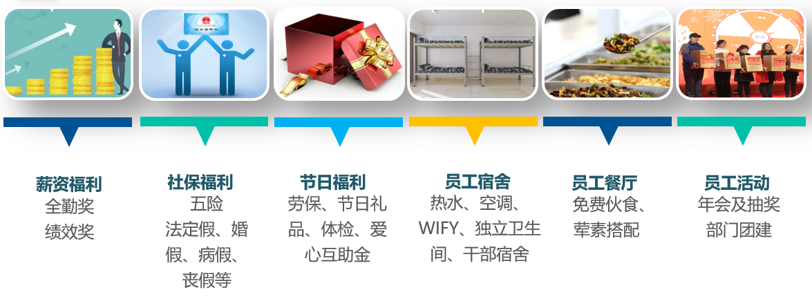 635cc3f8e58c1.png image.png